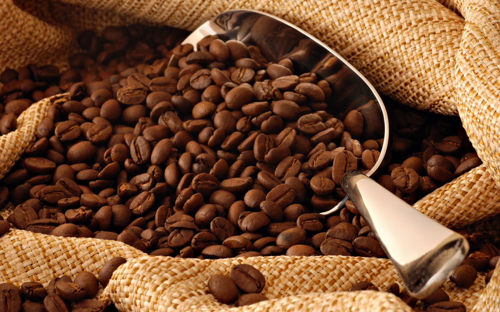 producción de café en México